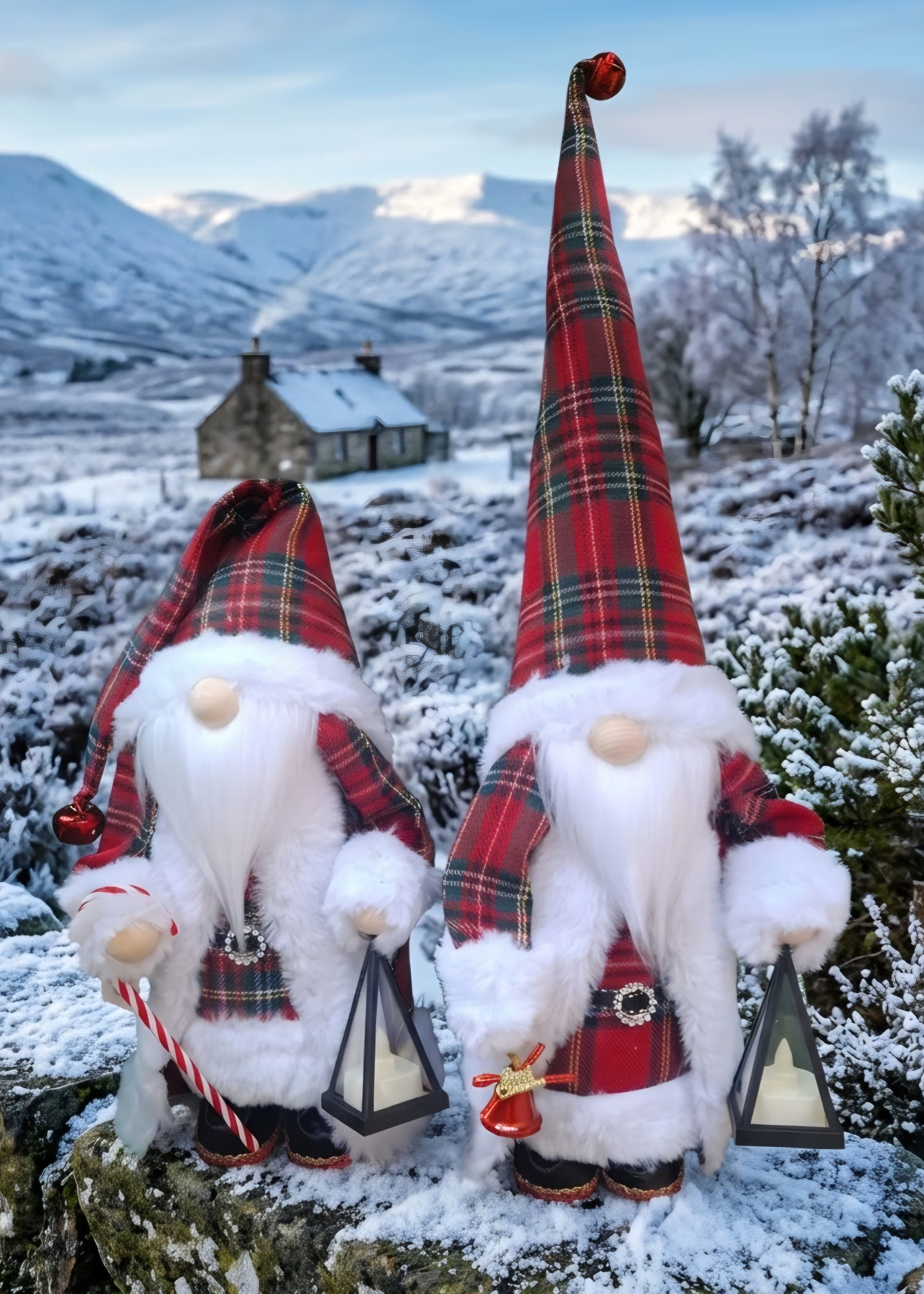 Santa Gnome Tartun